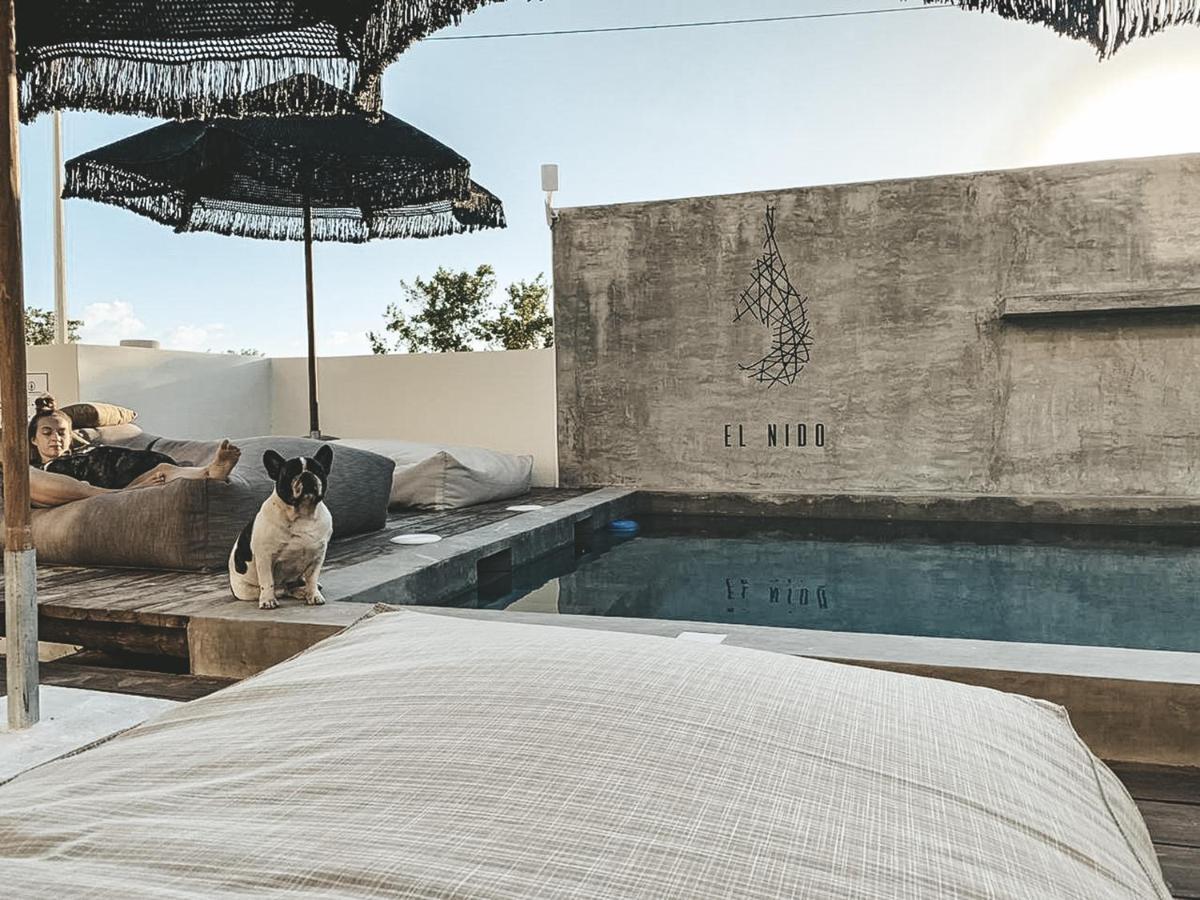EL NIDO Holbox Hotel Eksteriør billede