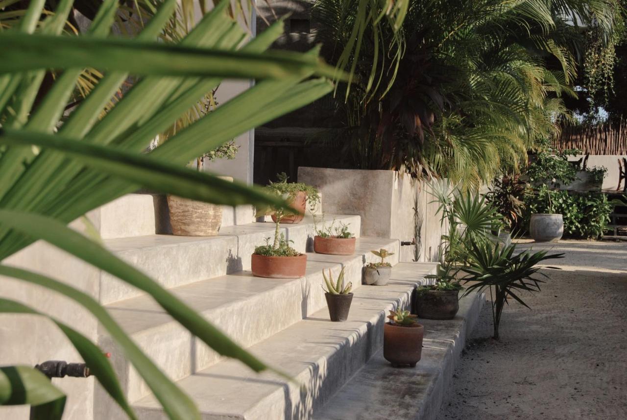 EL NIDO Holbox Hotel Eksteriør billede